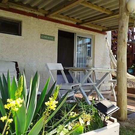 Carmela Suites Cabo Polonio Extérieur photo